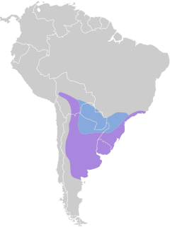 Pipraeidea bonariensis map.svg