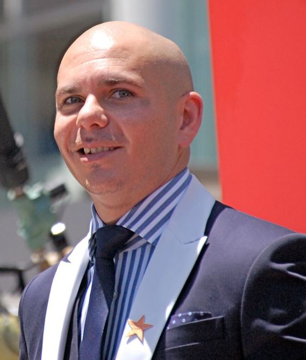 Pitbull in 2013