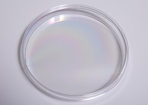Plastic Petri dish 04.jpg