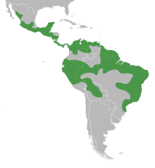 Platymiscium distribution.svg