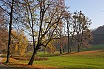Vorschaubild für Pötzleinsdorfer Schlosspark
