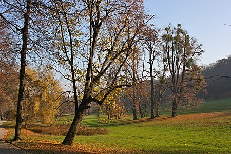 Poetzleinsdorf Park 04.jpg