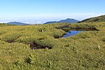 太郎山の周辺に点在する池塘、コバイケイソウやイワイチョウなどが生育
