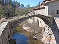 Pont Romànic (Sant Sadurní d'Osormort)