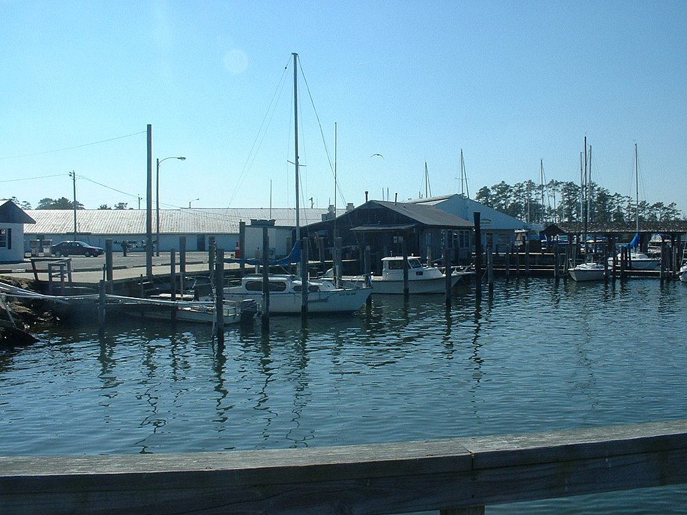 The population density of Poquoson in Virginia is 203.3 square kilometers (78.49 square miles)