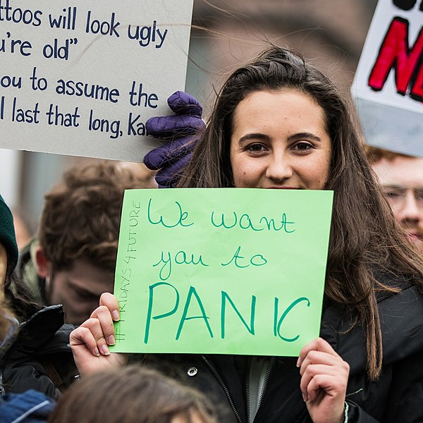 Youths protest in Toronto as part of the School strike for climate movement, 2019.