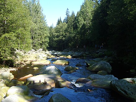 Vydra river