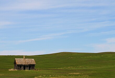 Prairie Wikiwand