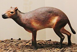 Maquette d'un mammifère herbivore, de taille comparable à un chien