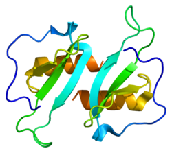 Ақуыз CCL20 PDB 1m8a.png