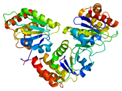 Протеин DUSP5 PDB 2g6z.png