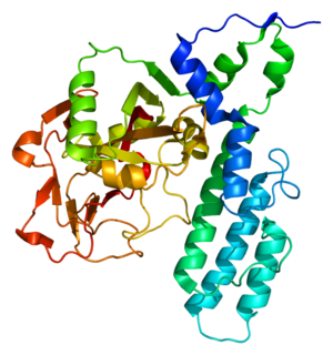 <span class="mw-page-title-main">PARP3</span> Protein-coding gene in the species Homo sapiens