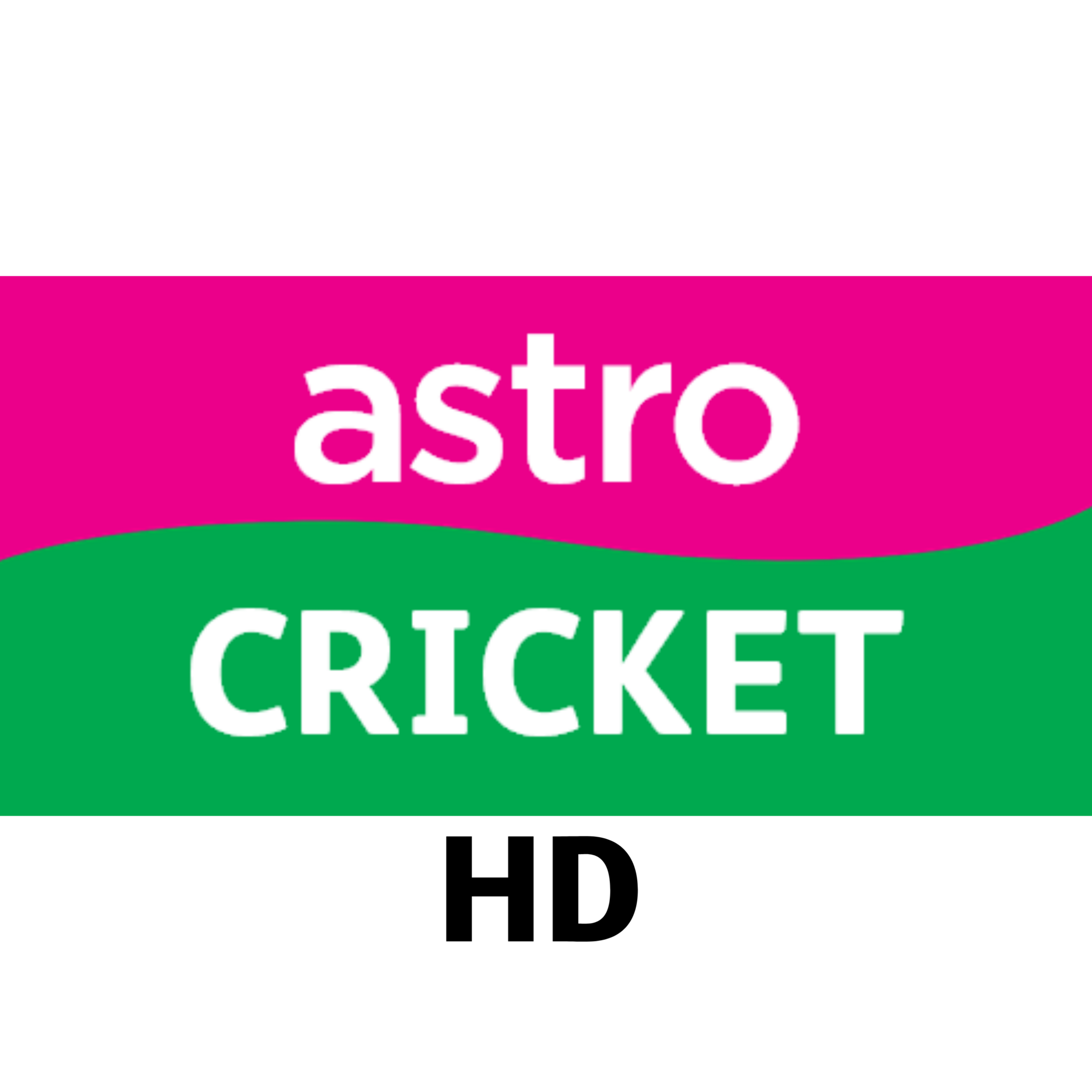 Cricket Logo Png - Cricketer Clipart Png, Transparent Png - kindpng