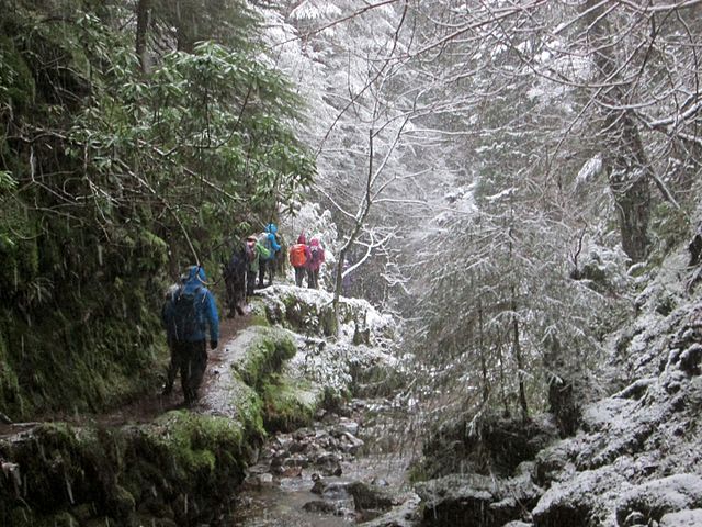 Puck's Glen ravine, in winter