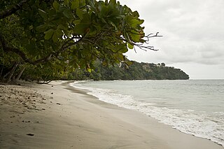 <span class="mw-page-title-main">Garabito (canton)</span> Canton in Puntarenas province, Costa Rica