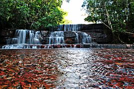 Quebrada de Jaspe en la Gran Sabana