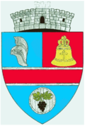 Wappen von Berzovia