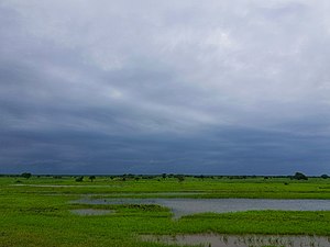 Itigi, Singida-Tanzania.jpg-da yomg'ir bulutlari