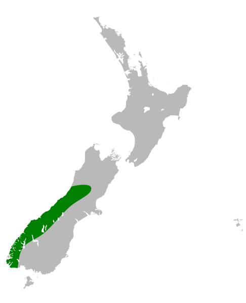 File:Ranunculus sericophyllus distribution map.svg