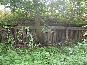 Remains of the platform at Humbie Station - geograph.org.uk - 2076360.jpg