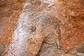 Rhino Mayana Rock Paintings.jpg