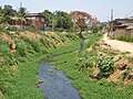 Caladão Stream between the Floresta and Tranquilão neighborhoods after a long period of drought in 2015.