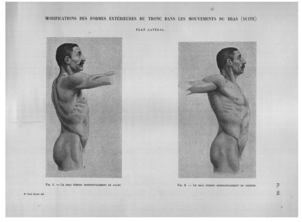 MODIFICATIONS DES FORMES EXTÉRIEURES DU TRONC DANS LES MOUVEMENTS DU BRAS (SUITE) Pl. 93