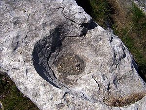 Pedra Calcària: Formació, Impureses, Utilitats de la pedra calcària