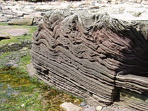 English: Rock. Folded sandstone rock near Tyni...