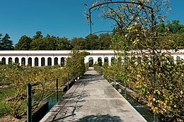 Niso Fumagalli Rose Garden in Monza, Italy Roseto della Villa Reale di Monza.jpg