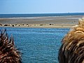 Roundtrip Oudeschild (Texel) - Den Helder - Seals - Oudeschild (Texel) - At the Seals in the Wadden Sea 05.jpg