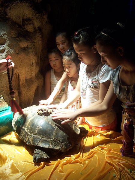 ไฟล์:Sacred turtle in China.JPG