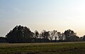 Deutsch: Schönebecker Heide zwischen Schöneiche bei Berlin und Rüdersdorf/Grünelinde.