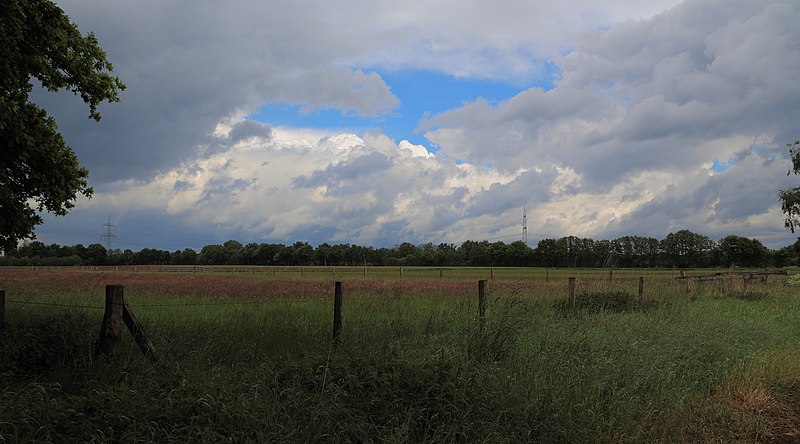 File:Schale Naturschutzgebiet Fledder 02.JPG