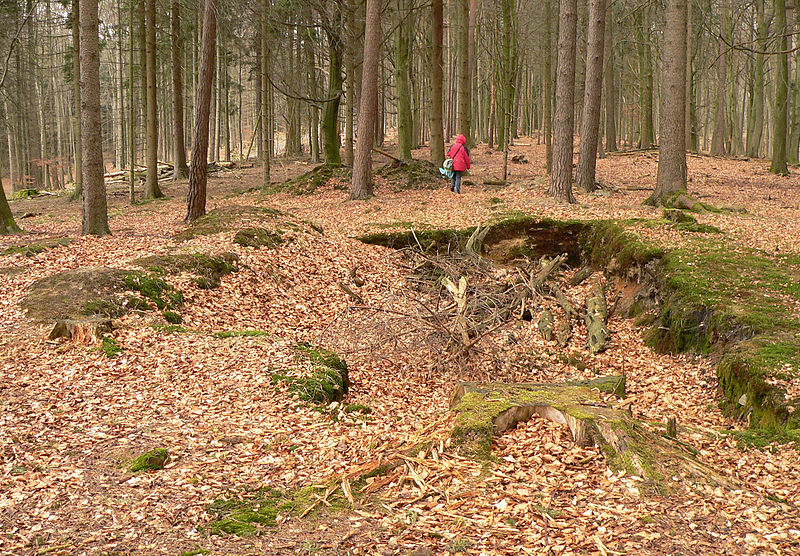 File:Schnippenburg Grabungsstelle im Wall.jpg