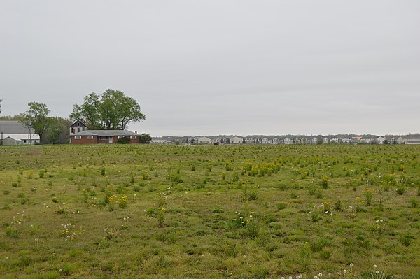 Fields along Schott Road