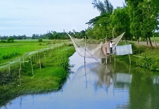 Shadow Of Fisher net.