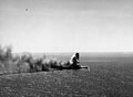 Explosion d'une bombe de 1000 livres (450 kg) sur le Shoho pendant la bataille (noter un Douglas TBD Devastator en bas au centre/gauche et 2 ou 3 autres avions de l’U.S. Navy visibles au-dessus du porte-avions)