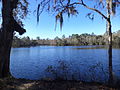 Sneads Smokehouse Lake