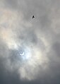 Solar eclipse of 2015 March 20 - Lorient 5780.JPG