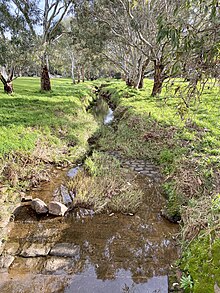 Gum trees and a creek in Park 20 South Parklands of Adelaide.jpg