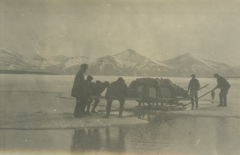 File:Spetsbergenexpedition- Expeditionsdeltagare med släde på is- DIG131540.tif