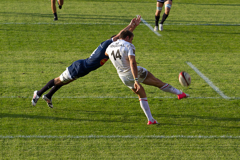 File:Stade toulousain vs SU Agen - 2012-09-08 - 10.jpg