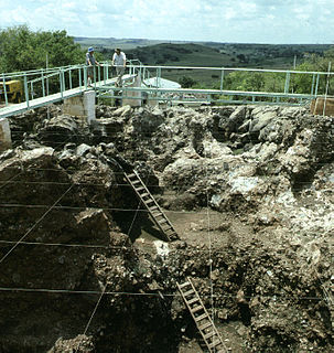 <span class="mw-page-title-main">Sterkfontein</span> Archaeological site in South Africa