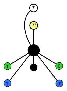 Subgroup of Oh; C2^3 green 07; cycle graph.svg