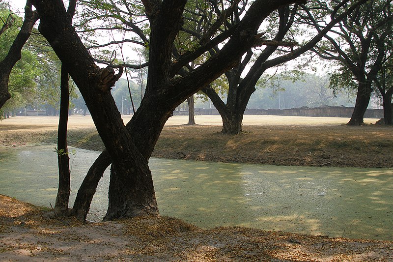 File:Sukhothai, Trees and pond, Thailand.jpg