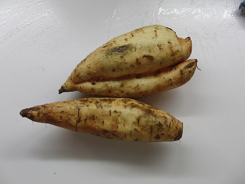 File:Sweet-potato.JPG