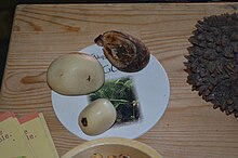 Tagua - Bio Foodle exhibition in Charleroi - 3.jpg