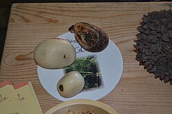 Tagua - Bio Foodle exhibition in Charleroi - 3.jpg