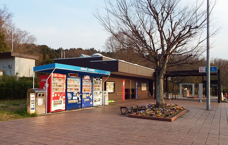 File:Takase 20210309.jpg